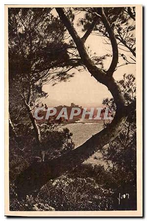 Bild des Verkufers fr Carte Postale Ancienne Cote d'Azur Le Cap Ferrat vu a travers les Pins d'Alep zum Verkauf von CPAPHIL