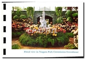 Carte Postale Moderne Floral view in Niagara Park Commision Greenhouse