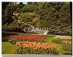 Imagen del vendedor de Carte Postale Ancienne Insel Mainau im Bodensee Ufergarten mit Rhododendrontreppe a la venta por CPAPHIL