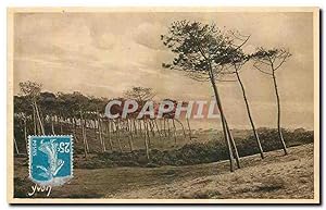 Seller image for Carte Postale Ancienne La Douce France Les Landes de Gascogne a Cap Breton Les Pins de la Cote d'Argent fils de la dune for sale by CPAPHIL