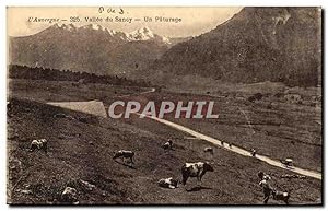 L'Auvergne Carte Postale Ancienne Vallée du Sancy Un paturage