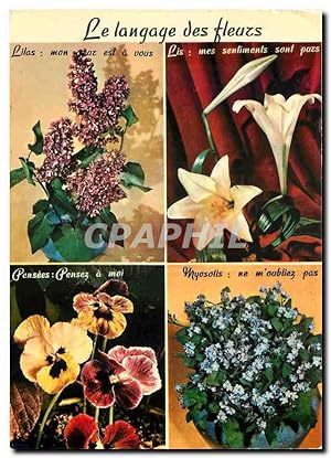 Bild des Verkufers fr Carte Postale Moderne Le Langage des fleurs zum Verkauf von CPAPHIL