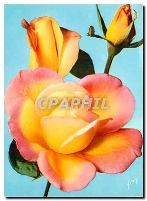 Immagine del venditore per Carte Postale Moderne Jolies roses de France grand mere Jenny Meilland venduto da CPAPHIL