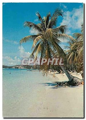 Carte Postale Moderne Plage et cocotier Guadelupe