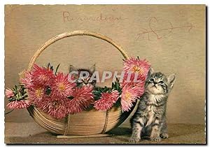 Seller image for Carte Postale Moderne Chats Chatons for sale by CPAPHIL