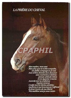 Image du vendeur pour Carte Postale Moderne La Priere du Cheval mis en vente par CPAPHIL