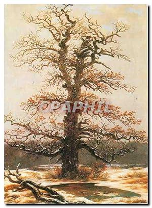 Carte Postale Moderne Caspar David Friedrich Chene sous la Neige