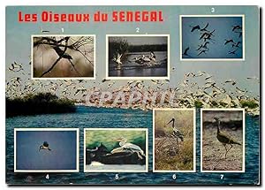 Immagine del venditore per Carte Postale Moderne Les Oiseaux du Senegal 1. Roulier 2. Pelicans 3. Flamants roses 4. Martin Pecheur 5. Pelicans 6. venduto da CPAPHIL