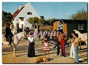 Carte Postale Moderne En Camargue Scene Folklorique Gitans Folklore