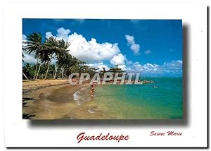 Carte Postale Moderne Guadeloupe Sainte Marie