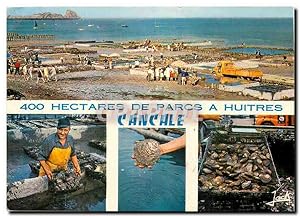 Carte Postale Moderne Couleurs de Bretagne cote d'Emeraude Cancale ses parcs a huitres Ostreicult...