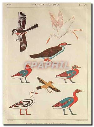 Seller image for Carte Postale Moderne Musee Champollion Figeac Lot Monument de l'Egypte et de la Nubie for sale by CPAPHIL