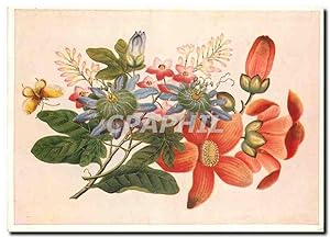 Imagen del vendedor de Carte Postale Moderne Blumen und Schmetterlinge Chin Deckfarbenmalerei auf Reispapier a la venta por CPAPHIL