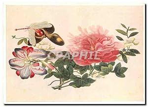 Imagen del vendedor de Carte Postale Moderne Blumen und Schmetterlinge Chin Deckfarbenmalerie auf Reispapier a la venta por CPAPHIL