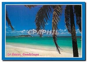 Carte Postale Moderne La Gosier Guadeloupe