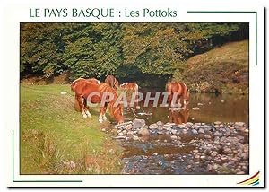 Image du vendeur pour Carte Postale Moderne Le Pays Basque Les Pottoks mis en vente par CPAPHIL