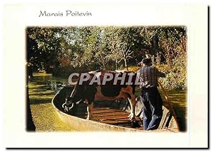 Bild des Verkufers fr Carte Postale Moderne Marais Poitevin zum Verkauf von CPAPHIL