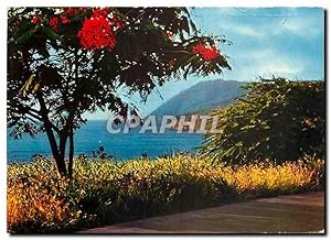 Carte Postale Moderne Guadeloupe Cote sous le vent