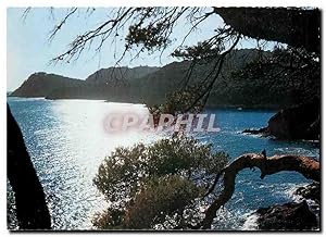 Carte Postale Moderne Presqu'île de Giens Var La Cote Sauvage au coucher de soleil