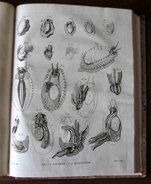 Memoires pour servir a l'histoire et a l'anatomie des mollusques