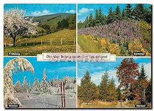Bild des Verkufers fr Carte Postale Moderne Die vier Jahreszeiten im Sauerland zum Verkauf von CPAPHIL