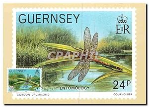 Seller image for Carte Postale Ancienne Guernsey Entomology for sale by CPAPHIL
