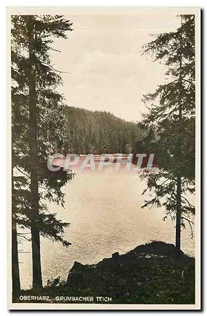 Carte Postale Ancienne Oberharz Grumbacher Teich