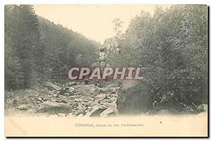 Carte Postale Ancienne Okertal Partie an der Teufelskanzel