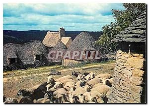 Image du vendeur pour Carte Postale Moderne Saint-Andre-d'Allas La ferme de Jacquou le Croquant Moutons mis en vente par CPAPHIL