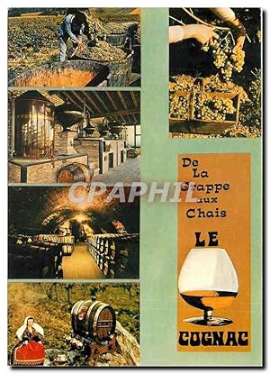 Seller image for Carte Postale Moderne Au pays du Cognac for sale by CPAPHIL