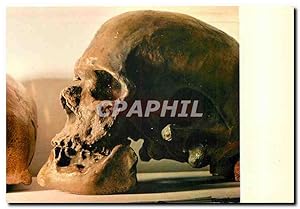 Image du vendeur pour Carte Postale Moderne Musee de Prehistoire Crane type de la race prehistorique de Cro-Magnon mis en vente par CPAPHIL