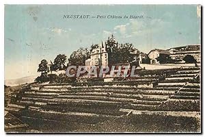 Carte Postale Ancienne Neustadt petit Château du Haardt