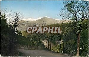 Bild des Verkufers fr Carte Postale Ancienne AMELIE LES BAINS "Perle des Pyrenees zum Verkauf von CPAPHIL