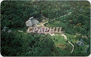Imagen del vendedor de Carte Postale Moderne Aerea de la Zona Arquelogica de Palenque Chiapas Mexico a la venta por CPAPHIL