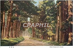 Carte Postale Ancienne Nikko Cryptomeria Avenue