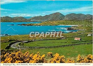 Carte Postale Moderne Ballydonegan Bay Beara Peninsula West Cork Ireland