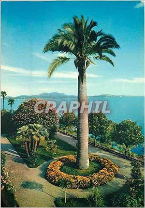 Carte Postale Moderne Giardini dell'Isola Madre Lago Maggiore