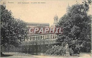 Imagen del vendedor de Carte Postale Ancienne Anvers Jardin Zoologique Le palais des oiseaux a la venta por CPAPHIL