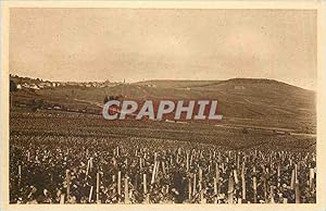 Bild des Verkufers fr Carte Postale Ancienne REIMS CHAMPAGNE POMMERY & GRENO Vignoble de Cramant premier cru de raisins blancs zum Verkauf von CPAPHIL