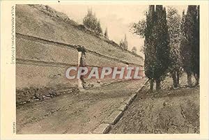 Immagine del venditore per Carte Postale Ancienne VILLA ADRIANA . VIALE DEI CIPRESSI(TIVOLI) venduto da CPAPHIL