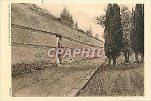 Carte Postale Ancienne VILLA ADRIANA . VIALE DEI CIPRESSI(TIVOLI)