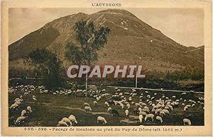 Seller image for Carte Postale Ancienne L'Auvergne Pacage de moutons au pied du Puy de Dome for sale by CPAPHIL