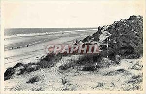 Carte Postale Ancienne Knokke Zoute Mer et dunes