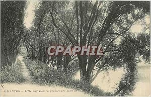 Image du vendeur pour Carte Postale Ancienne Mantes l'le aux Dames promenade bord de mis en vente par CPAPHIL