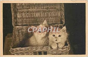 Seller image for Carte Postale Ancienne Chats Chatons for sale by CPAPHIL