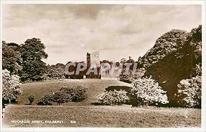 Carte Postale Ancienne Muckross Abbey. Killarney