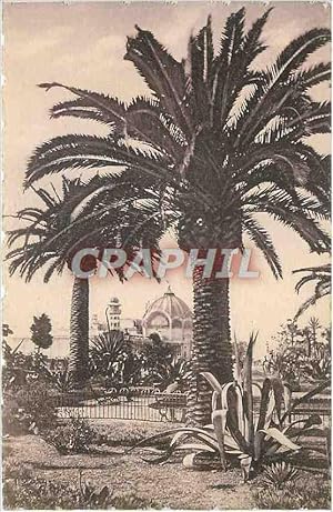 Image du vendeur pour Carte Postale Ancienne Nice - Le Jardin Albert 1er sa flore exotique mis en vente par CPAPHIL