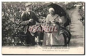 Carte Postale Ancienne La vie en Champagne ( folklore coiffe costume vignoble Vigne ) TOP