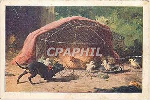 Image du vendeur pour Carte Postale Ancienne Publicite Savon Express Teinture Chien Poussins mis en vente par CPAPHIL