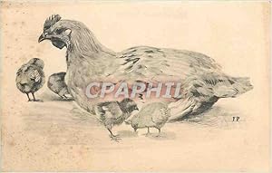 Carte Postale Ancienne Bonne Année Poules